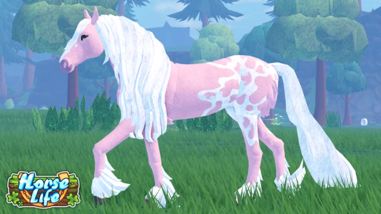 💕 Horse Life 🐎