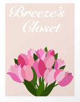 ~ Breezy’s Closet ~