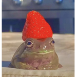 Frog_Squad_