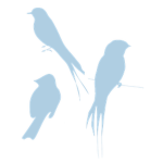 That Bird Club!
