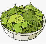 Lettuce Bowl