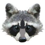 I ❤️ Raccoons