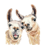llama fans join now!