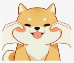 Meow…!