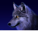 wolf :D