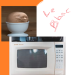 MicRowAve EGG CAKE... yes