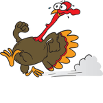 Turkey's Friend's