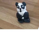 Panda fans squad
