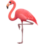Flamingo Squad :)