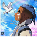 Fans XXXTENTACION.