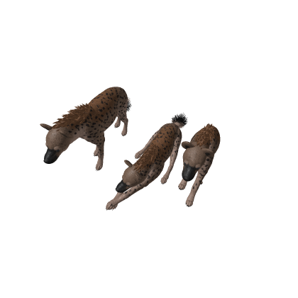 Hyena Position Pack