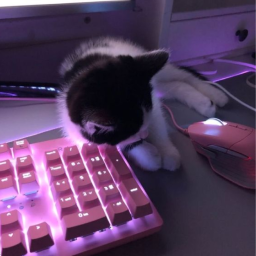 >ᴗ<