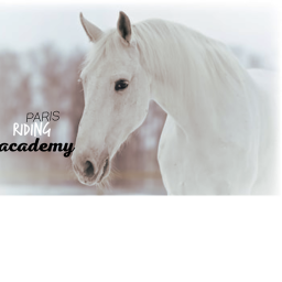 Paris stables