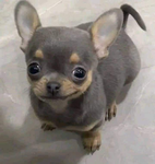 Jenxxs