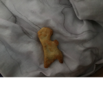 Dino nuggets and Chocolate milk