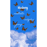 ʙʟᴏxʙᴜʀɢ ᴀᴇsᴛʜᴇᴛɪᴄ ʀᴏʟᴇᴘʟᴀʏ ɢʀᴏᴜᴘ シ