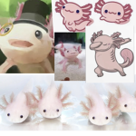 The lil axolotls