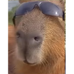 Free gume bears a