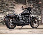 motor piker