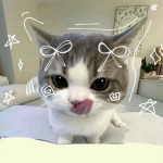 !MeowShop!