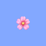 Vsco_flowers