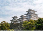火 Tomo