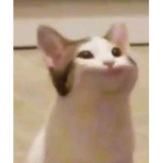 貓狗軍團