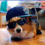 Big Bork™