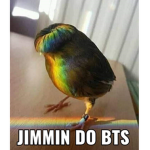 Jimin do Robux
