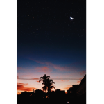 ~The Night Watchers~