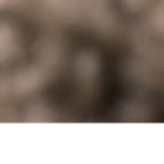 Peyton’s gc for robuxxx