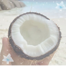 ⋆ .˚