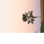 Sunset_teal