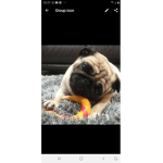 Puggosquad123