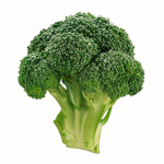 Jake's Broccoli Factory