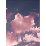 P i n k Skyz