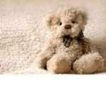 •teddyx•
