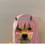 Anime Girls Are Real