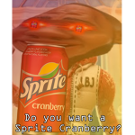 Do you want a Sprite Cranberry? (Memer Squad)