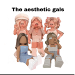 ROBLOX AESTHETIC FANS!!