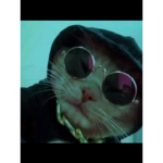 Coollllll bois