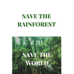 SAVE THE RAINFOREST AND THE ANIMALS!!!