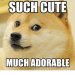 SUCH CUTE MUCH ADORABLE :D