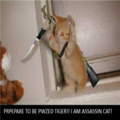 Assassin Cat Roblox decal