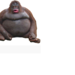 Mafia Developer
