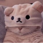 aesthetic group for chilling