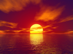 SunClan | Forest Territory