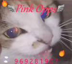 Pink Opps