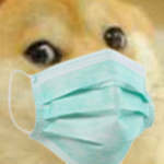 Los Doges Robloxianos