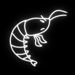 The Shrimp Stew